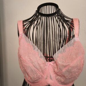 Paramour lace bra